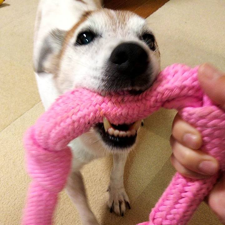 62ad385e 2970 4fa9 8595 039772b06a84 1596976172646