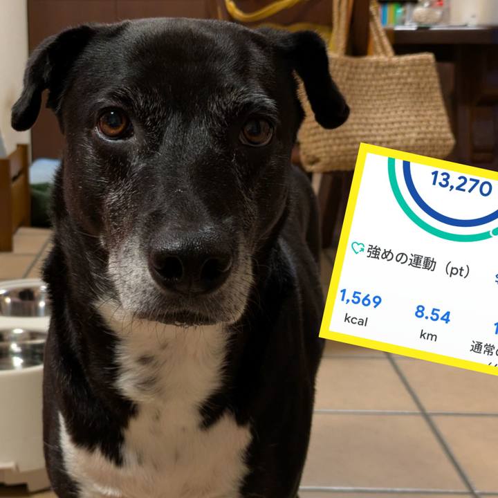 62ad55f2 2e82 4307 9a93 cedd91244db1 1754047329686