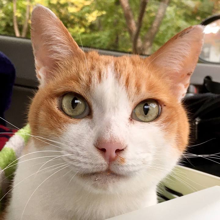 62ad78ac 26fa 4104 a984 3ff907d3965b 1571997134186