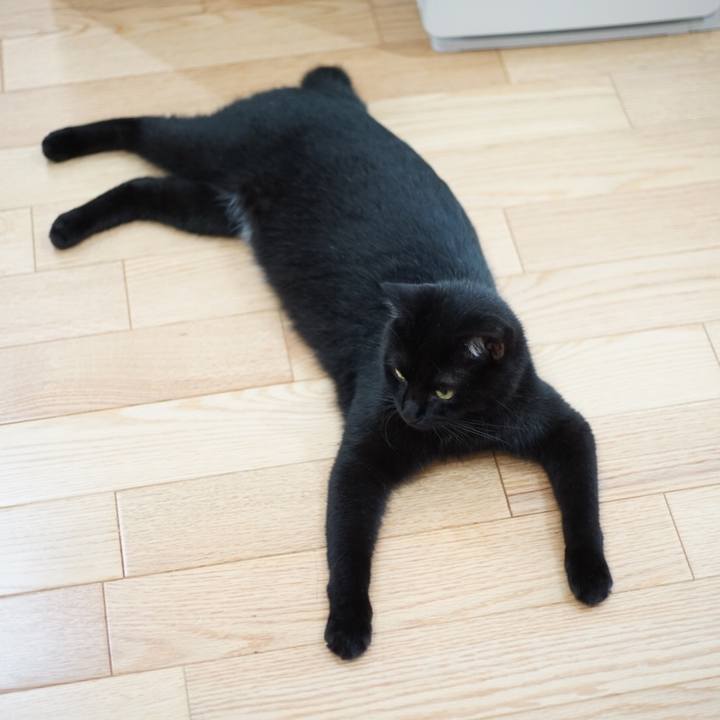 62ad81fa 06aa 447e be3a 8318dfa90deb 1530575336045