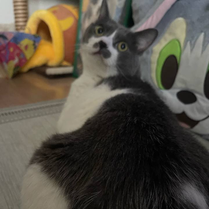 62ad853d 15c6 4a01 8fa2 cd680b477acb 1752822089049