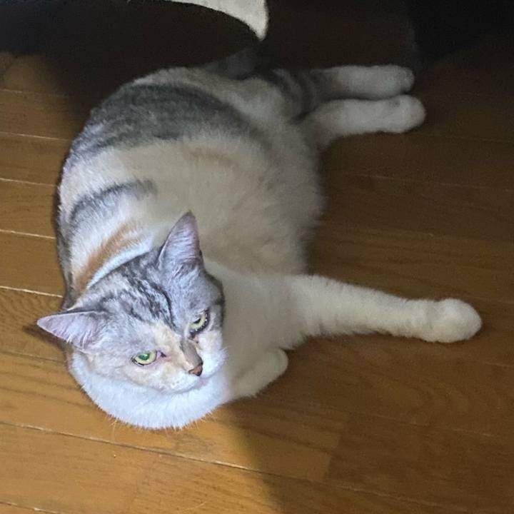 62ad9d44 3f31 41bb bd59 52f3c0a1e502 1758059690243