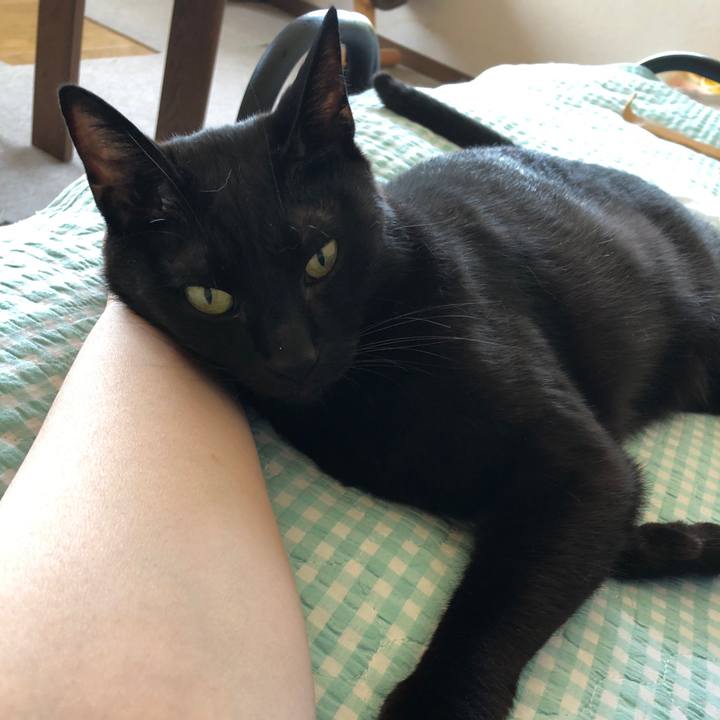 62ae03f8 9a11 444e 8dae 3c65d47aa483 1688795128642