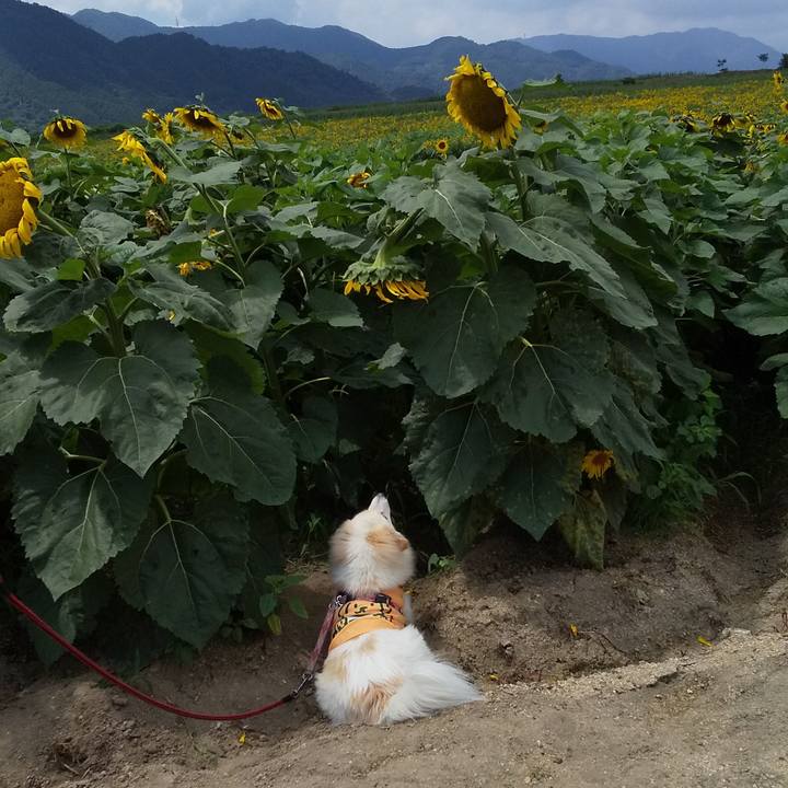 62ae0814 453e 4a80 9746 4661a8f78064 1562494285627