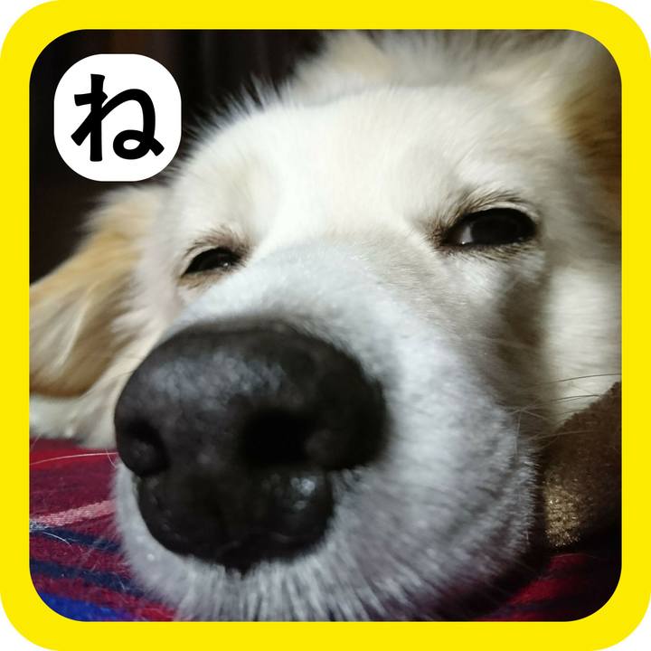 62ae3cb8 248c 46ef b676 076aa845ed64 1514933635330