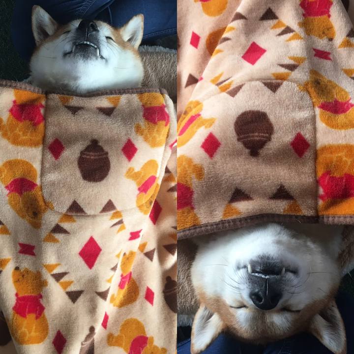 62ae3d71 49c7 41c2 af9a 60b71f132c67 1603165130323