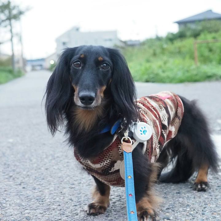 62ae62ad 1447 44be 9e96 16f399a3d788 1536889310096