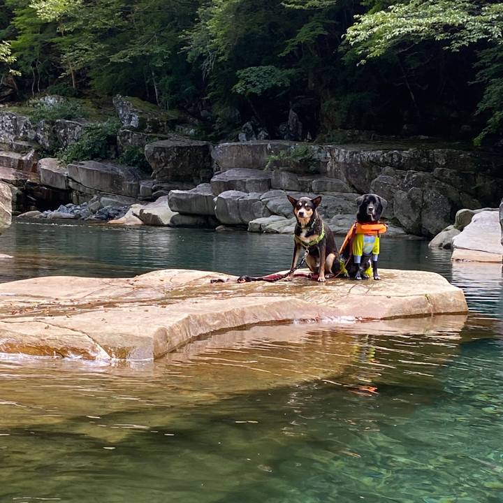 62ae810d ef3c 4beb b180 559189e9d599 1630244971974