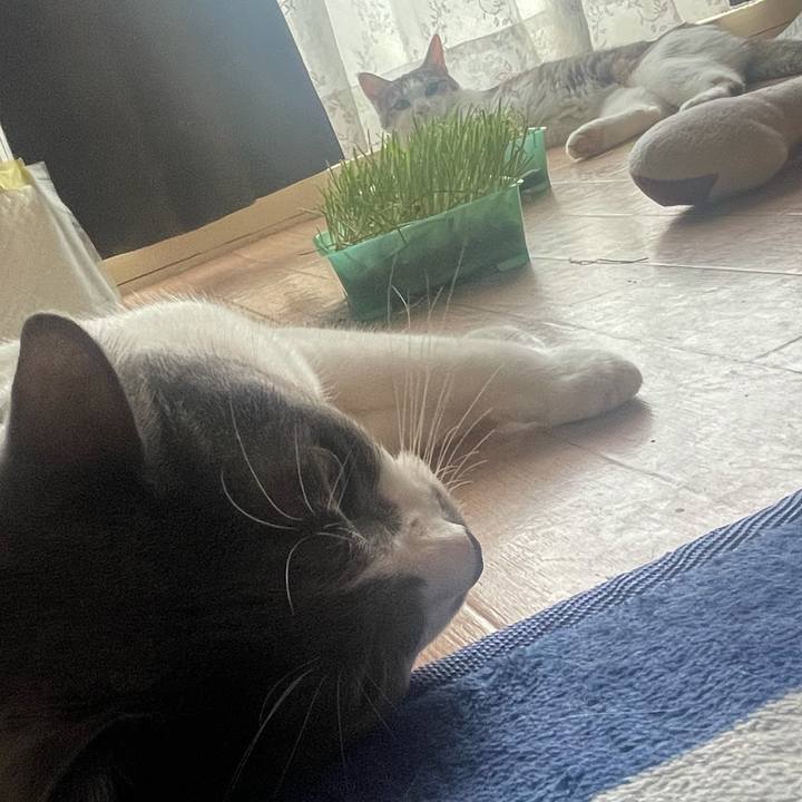 62aea72a 1340 4550 b266 fe8d263d0c20 1629593301750