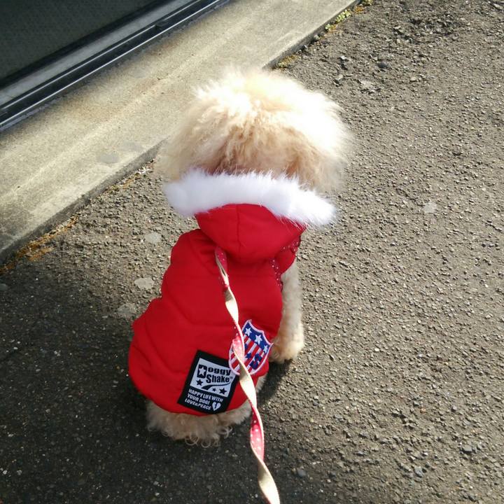 62af073d f803 4e5e 8682 7670e2bf9b32 1515228418047