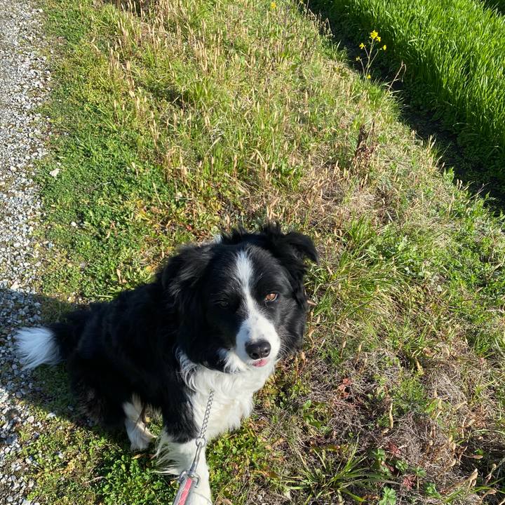 62af0cb0 4800 44a8 9b18 91c8e0eda015 1614731324428