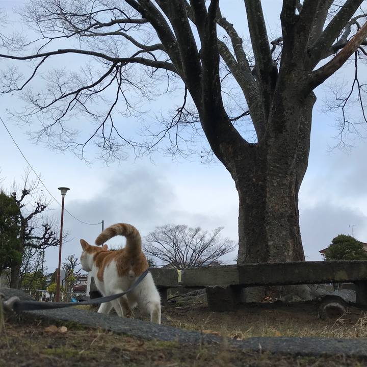 62af1584 384a 48a9 afcc 54d46b7bb344 1511490790443