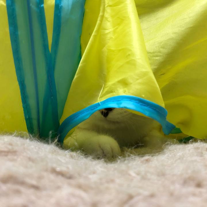 62af4bfd 83d7 44c8 8916 d4915978cb3f 1546172179181