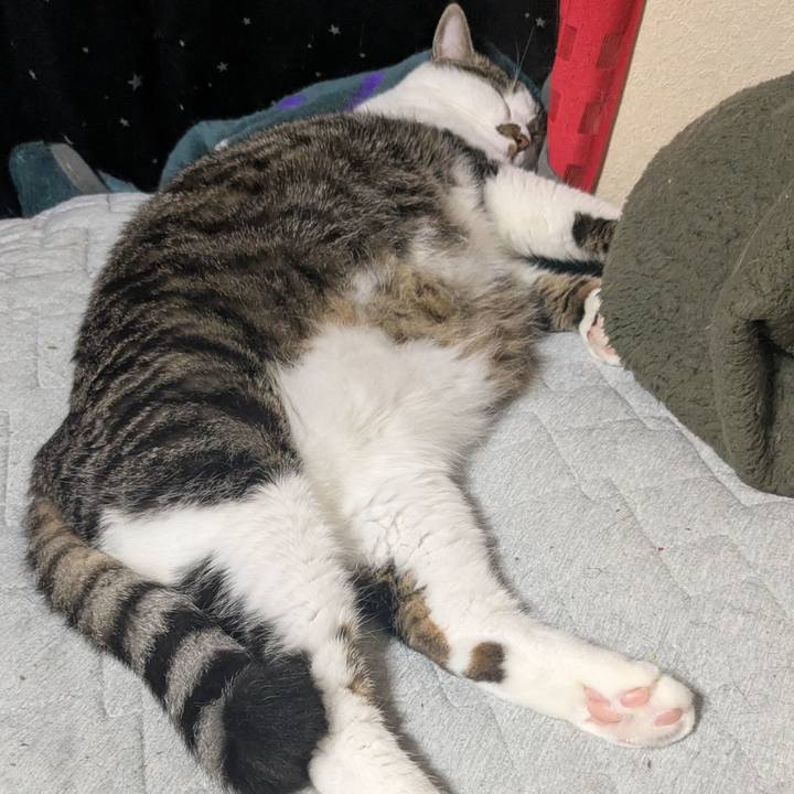 62af55af 87b4 4f73 9dc2 3aafacd3d516 1752986105263