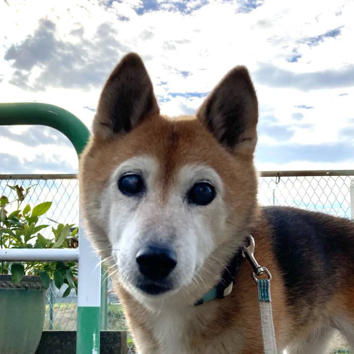 62af6dfc e2b0 48d3 af78 7f1e060b7ee0 1759102595323