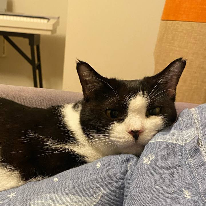 62af958b 94f5 45ec 8c7d 441f62ba09e9 1722078767043