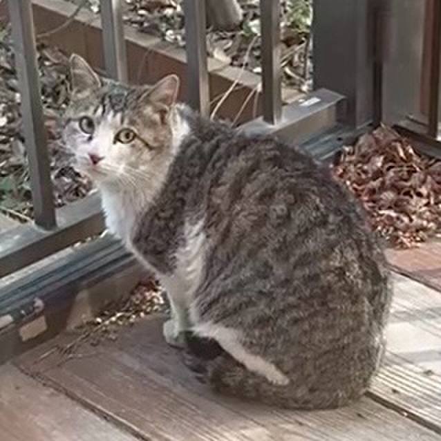 62afaf54 41e4 4ece 8d25 8546e12227fc 1773649570917