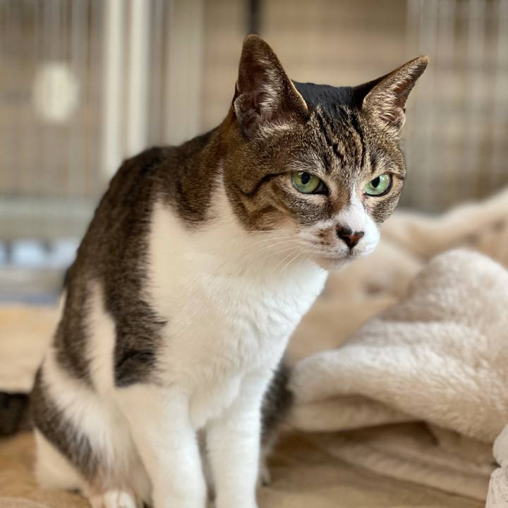 62afcba1 fd10 4da3 bd5c e52a1a6a3d41 1618967796926