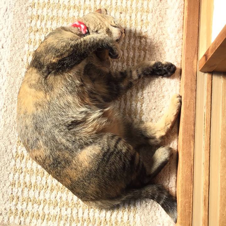 62b00ecf dff8 4186 8a5a ca07f1982790 1607398416569