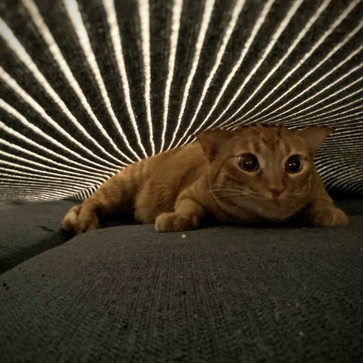 62b00faf 4e95 4a0e a2c5 b5adeae39f73 1618930013737