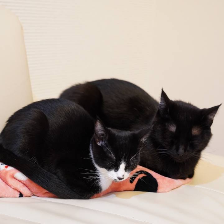 62b067c3 9d7a 45bf 809e 9d3717a6df78 1572963877626