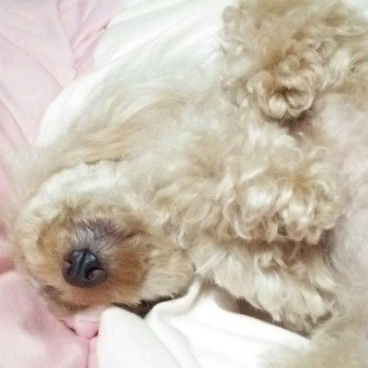 62b06904 333c 49af ad8d 3535bb662f11 1537018018401