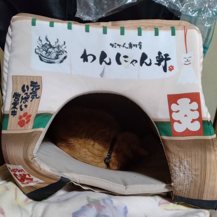 62b074fc 147e 46e7 86d1 0677eee81155 1676376578798