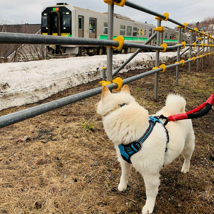 62b078d3 d997 4faa a9be 34f49627124a 1680302928084