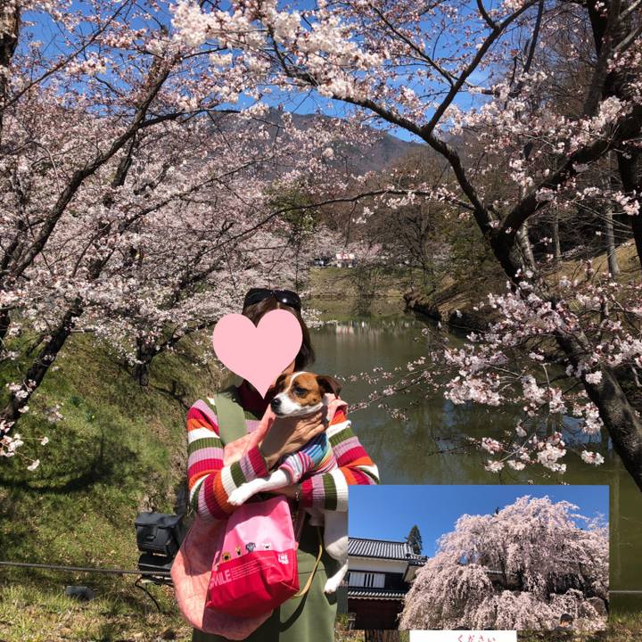 62b08497 da74 452f a887 08ae2b6f0977 1555124424319