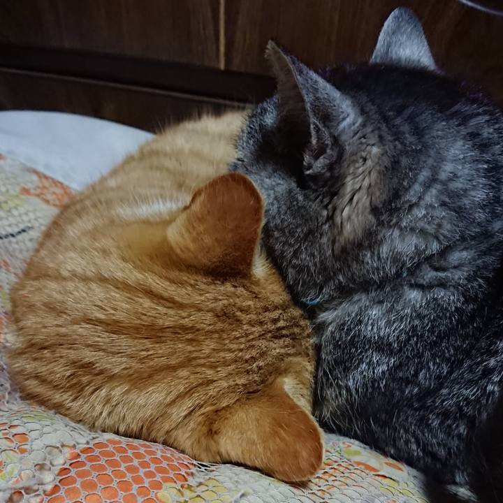 62b0d826 ed97 426a aa29 731f49221624 1577709954495