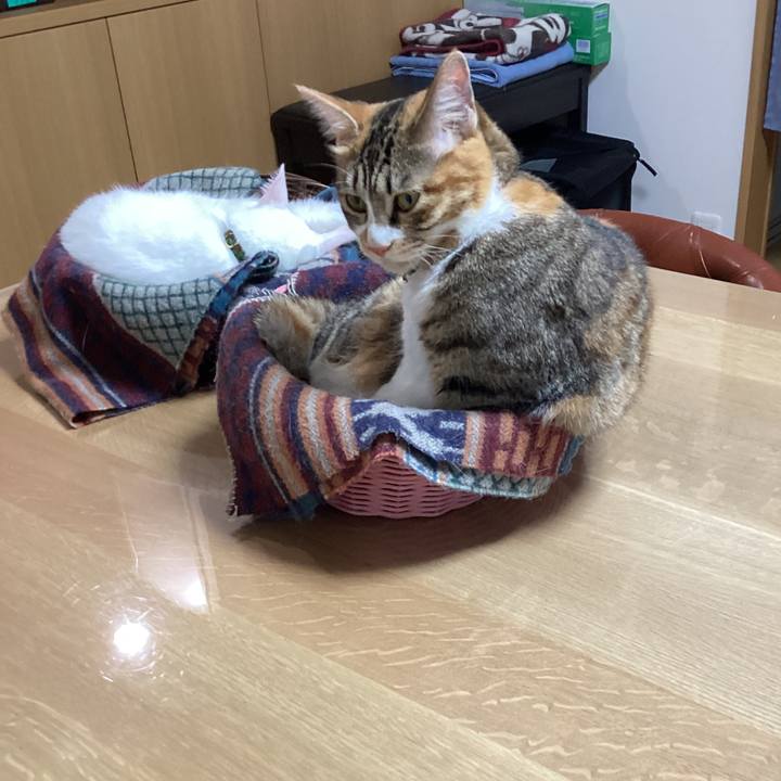 62b0fbcb 8449 459e 9aed 0006c183284f 1650848488962