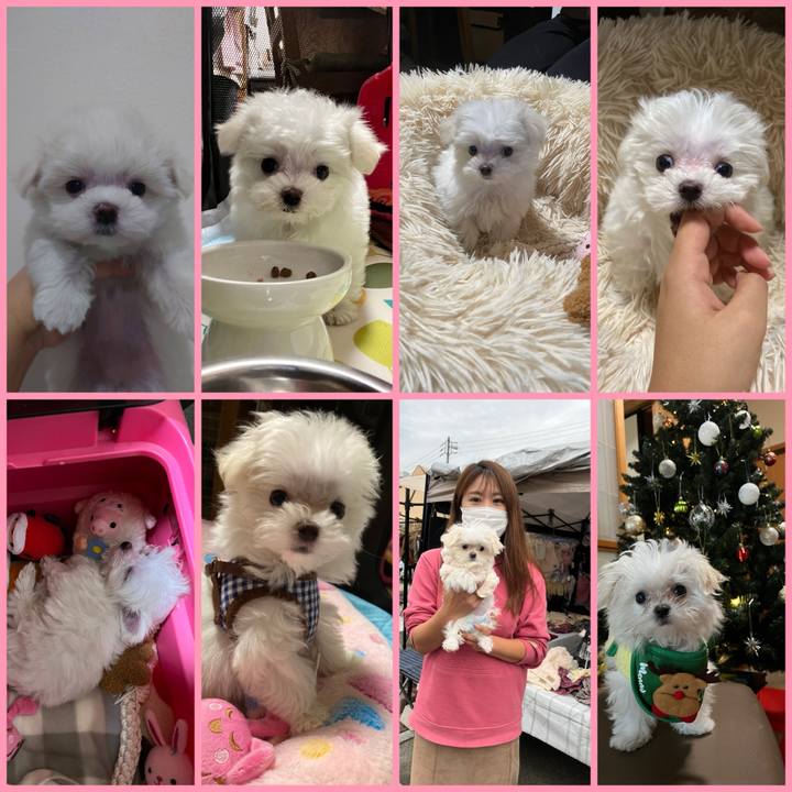 62b1105b 42df 4d6e 8cc4 476378e3df6d 1704001118094