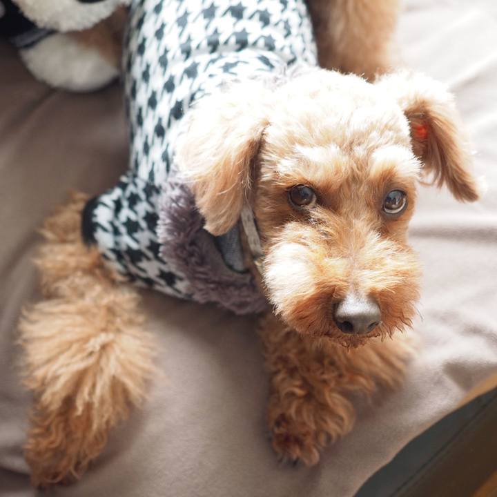 62b15631 c7a5 4e7c aec1 59b27a56df0f 1581601727800