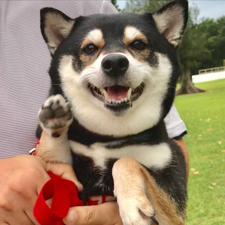 62b1a82b 0533 48a3 9c33 a517e3520b06 1510839734074