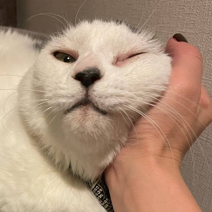 62b1bb3e bd4b 4b1e a1e6 0b79ad88a45e 1764286471150