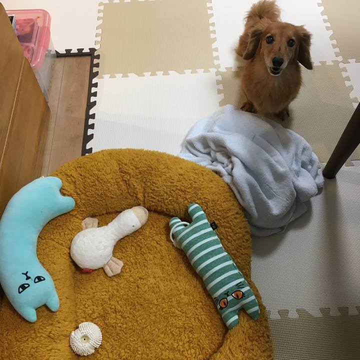 62b1c2f3 d834 4166 ac52 375f6129aea0 1622205099402