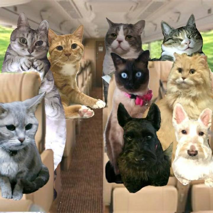 62b1c781 b789 45fd bef2 060f20878414 1557668603440