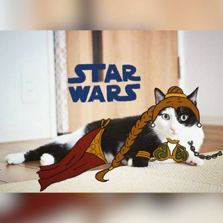 62b1eba9 4be2 4db2 8eb9 b19e702144de 1714803717599