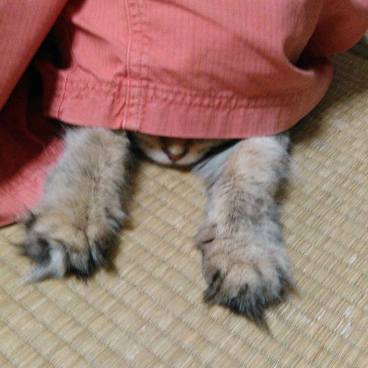 62b1f0a3 9a45 4803 9792 d1c02d048d9b 1601453335383