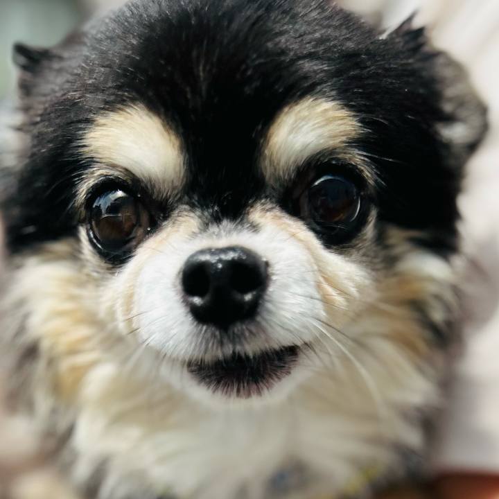 62b1f2f7 eb4c 4d7e 8b24 ad0d2e17deb5 1749179226692