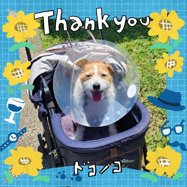 62b29f48 c198 4052 b803 38e1e08ab515 1718285489641