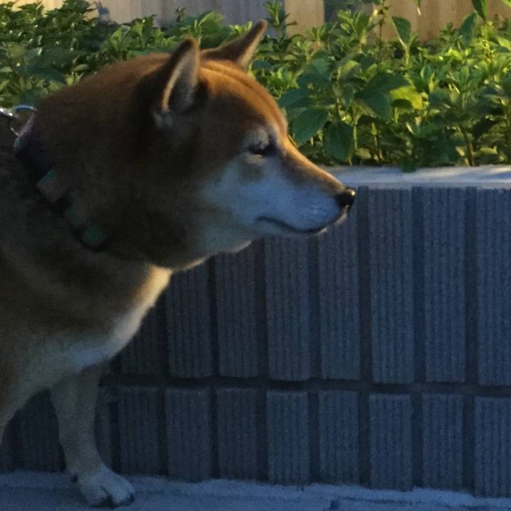 62b2b041 05e3 4dc7 9c9b a7a1e1f2ae2d 1569061498158