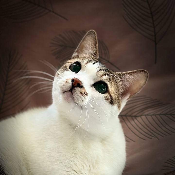 62b2bc0f d1ea 4151 963d 6dc482754dbd 1767428282384