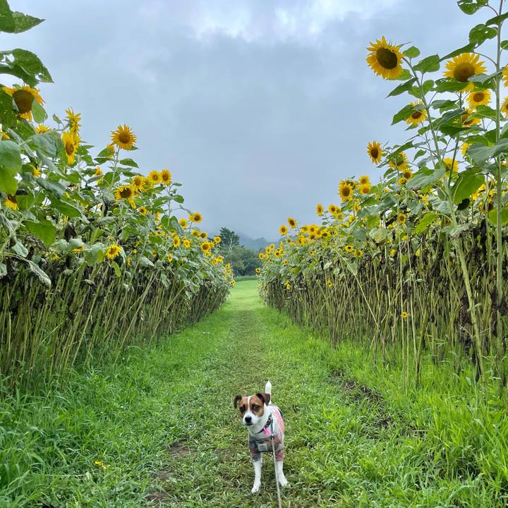 62b2c231 04b5 427d a5d1 0a049c57fab5 1630404120979