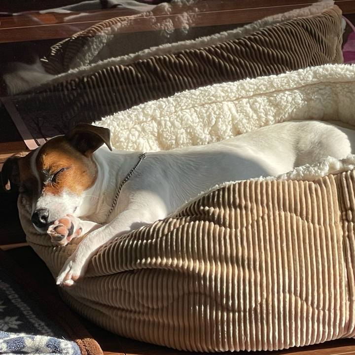 62b2c37b 1d74 4fce 94ff 05c05671f8c1 1646264852405