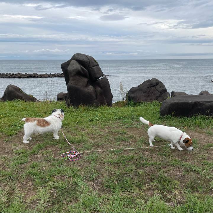 62b32d8c 7783 4ee6 a3a6 cbe2cc255bd2 1727995594673