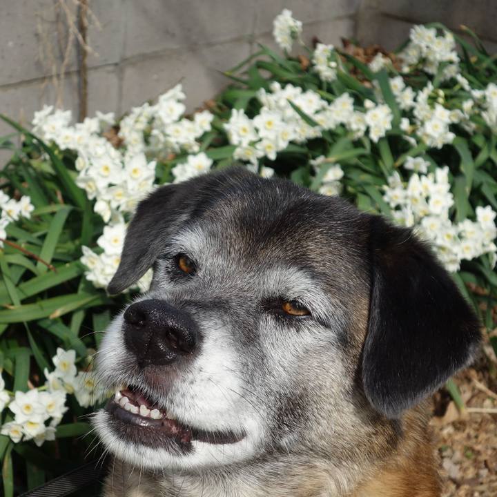 62b352b1 e184 4433 826e e8e0502396a0 1631321416532