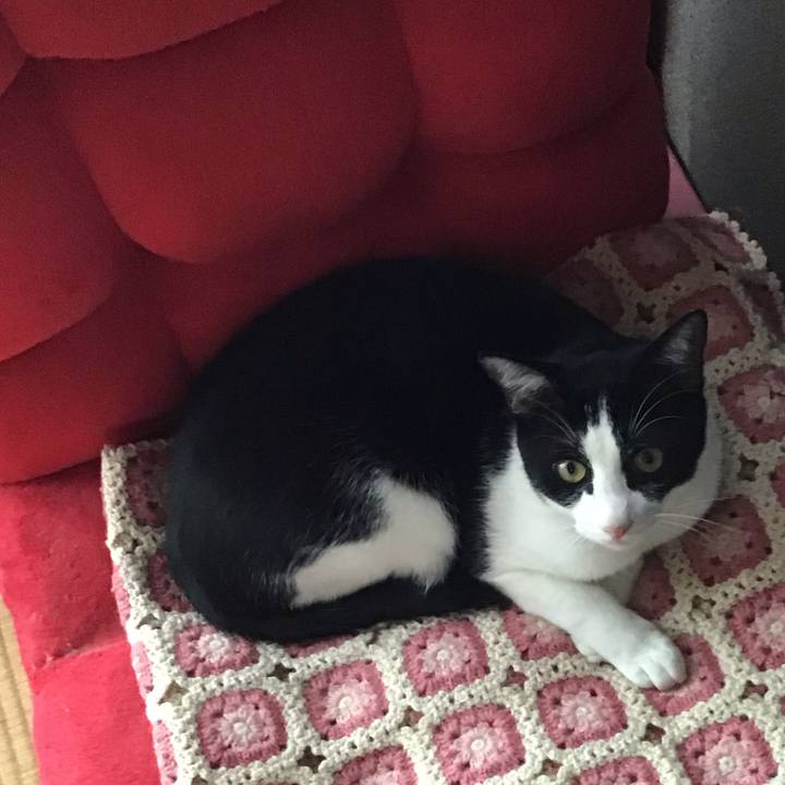 62b36673 ca48 4d59 b21a 7f1579123c81 1657626870943