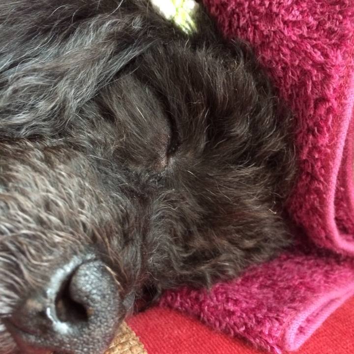 62b3746e f4c0 4660 9729 994903763bf1 1522731307740