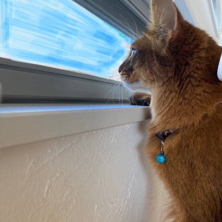 62b39cc4 7110 4f07 9bee e6e1c4cae6cb 1614398694347